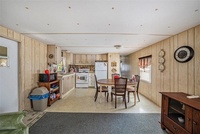 dining room with sink and wooden walls