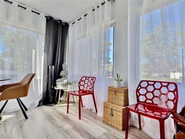 living area featuring wood-type flooring