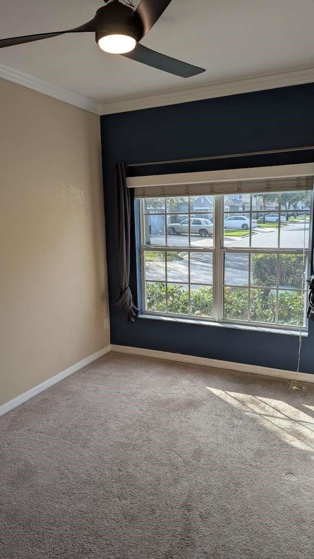 unfurnished room featuring carpet, ceiling fan, and crown molding