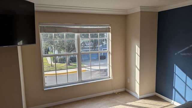 spare room with light colored carpet and crown molding