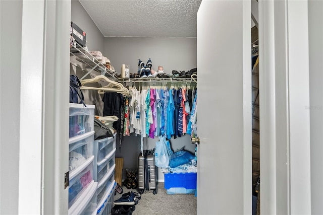 walk in closet with carpet floors