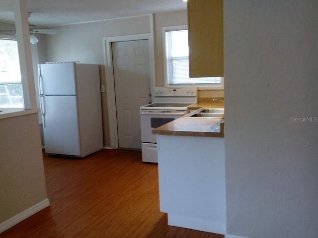 kitchen with white appliances, wood-type flooring, sink, and a wealth of natural light