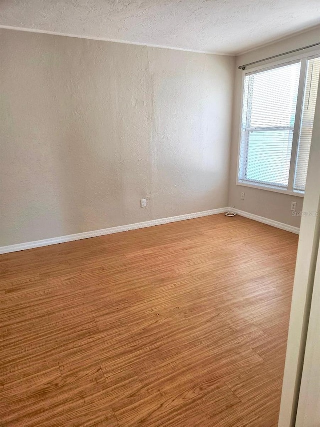 empty room featuring wood-type flooring and a textured ceiling