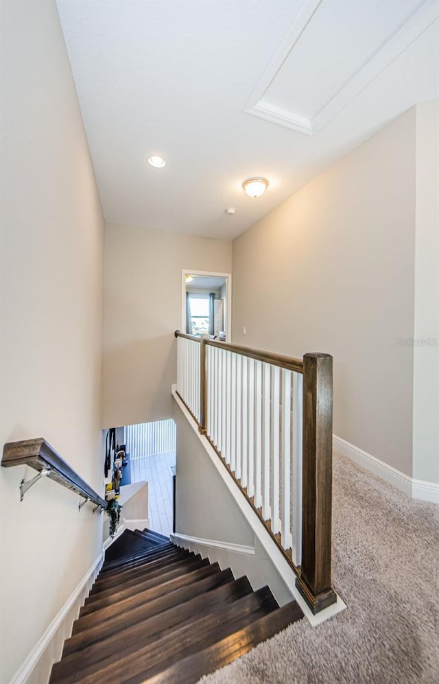 1621 Eagle Creek Dr, Clearwater, FL 33764 - photo 24