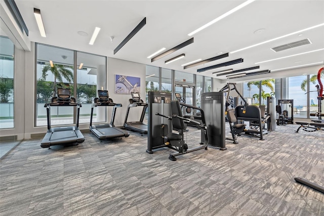 301 1st St S Unit 2006, Saint Petersburg, FL 33701 - gym featuring visible vents and carpet flooring