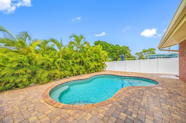 view of pool featuring a patio area