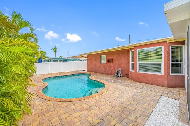 view of swimming pool with a patio