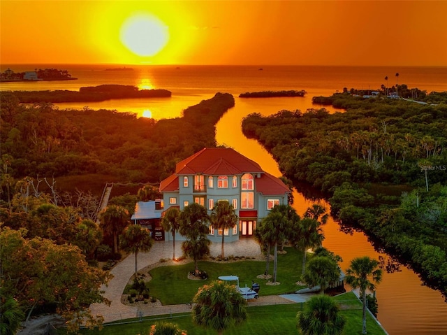 bird's eye view with a water view and a forest view