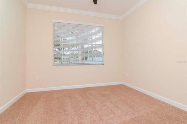 carpeted spare room featuring crown molding