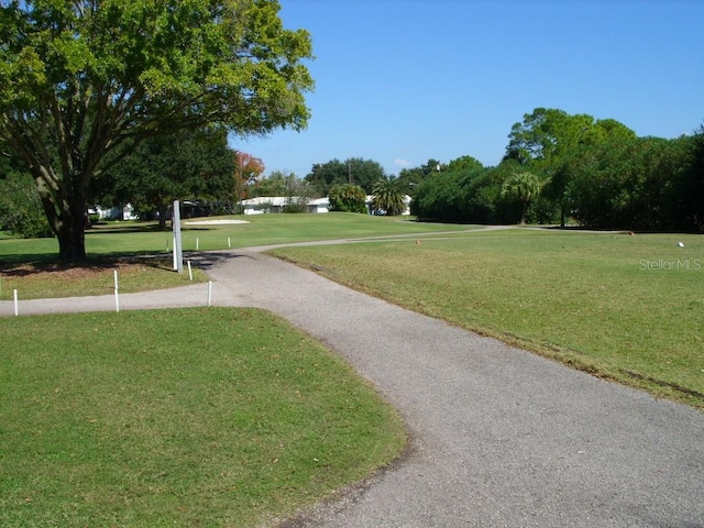 view of community with a lawn