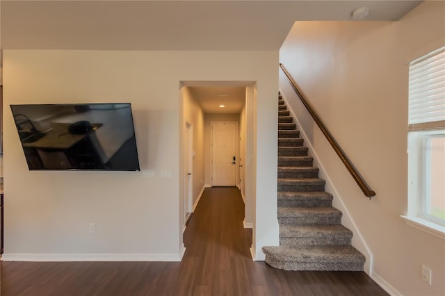 stairway with wood-type flooring