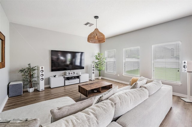 living room featuring hardwood / wood-style floors