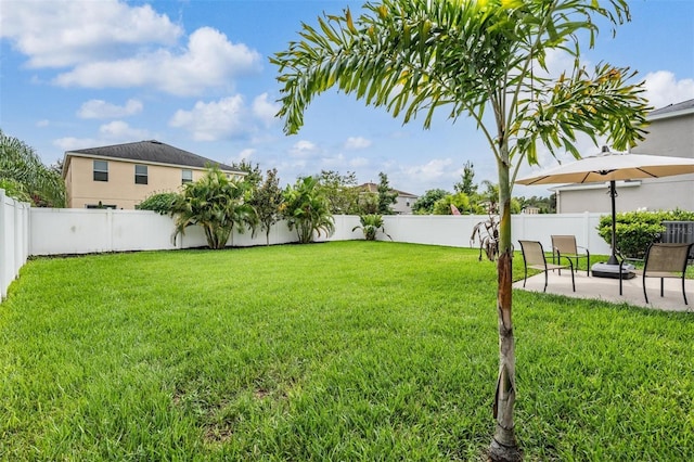 view of yard with a patio area