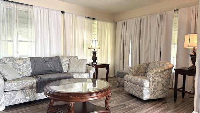 living room with a wealth of natural light