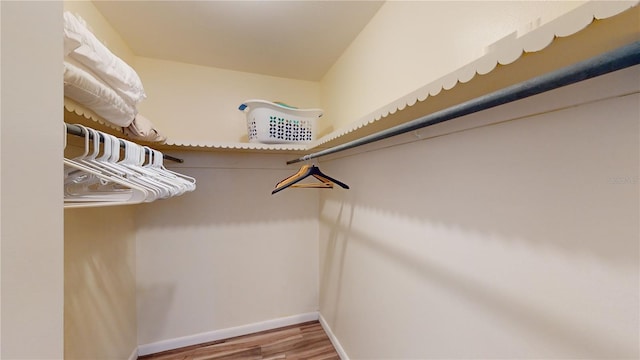 walk in closet featuring hardwood / wood-style flooring