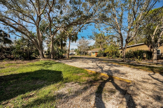 402 Pineapple St, Tarpon Springs, FL 34689 - photo 71