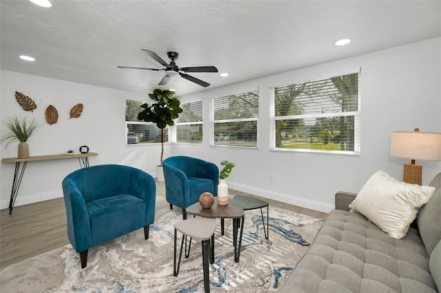 living room featuring ceiling fan and hardwood / wood-style floors