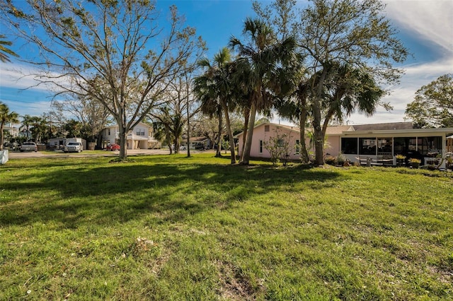 402 Pineapple St, Tarpon Springs, FL 34689 - view of yard
