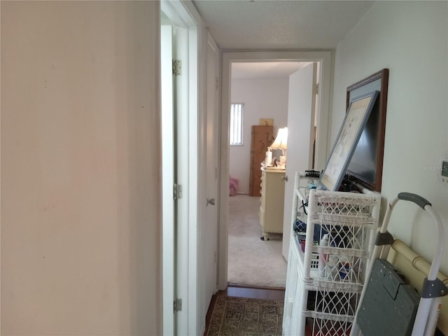 2003 Greenbriar Blvd Unit 11, Clearwater, FL 33763 - photo 24