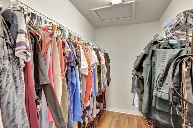 walk in closet with hardwood / wood-style floors