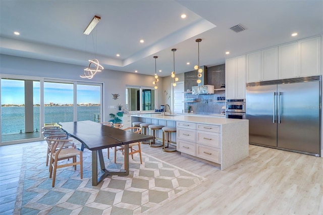 dining space featuring sink, a tray ceiling, light hardwood / wood-style flooring, and a water view