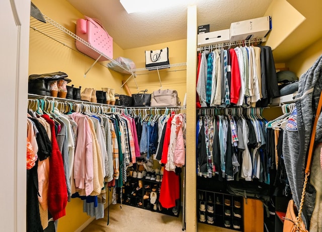 spacious closet featuring carpet