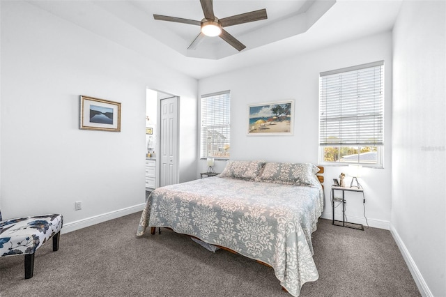 bedroom with carpet, ceiling fan, a closet, and a tray ceiling