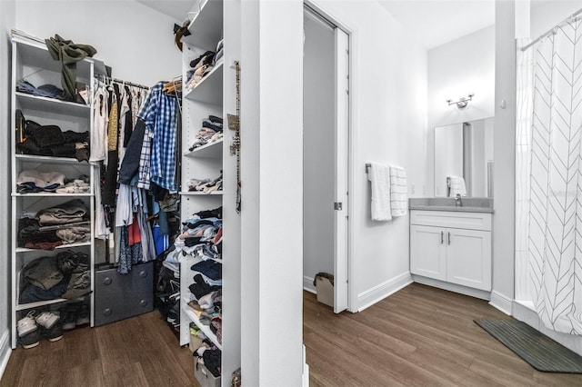 spacious closet with hardwood / wood-style floors and sink