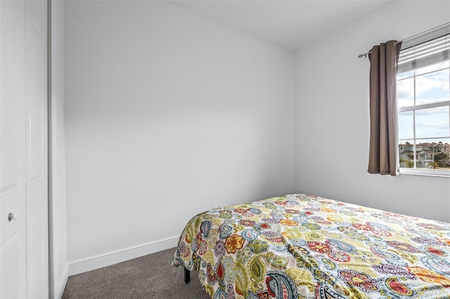 carpeted bedroom with a closet