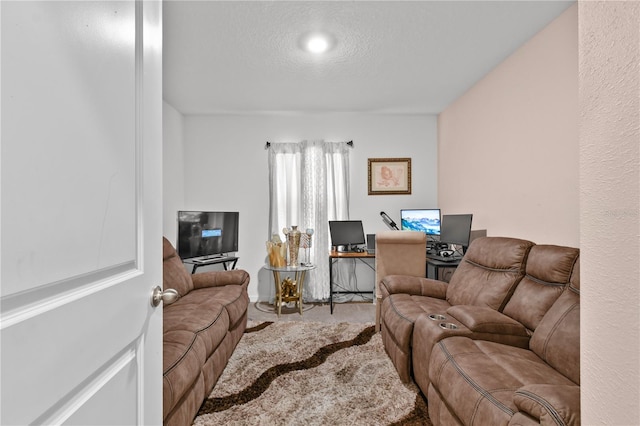 living room with a textured ceiling