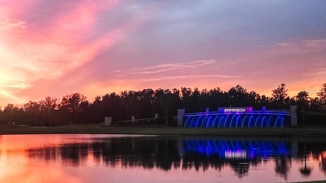 view of water feature