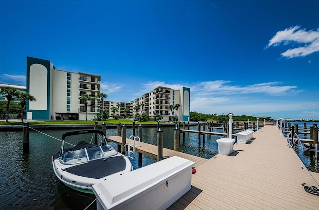 dock area with a water view