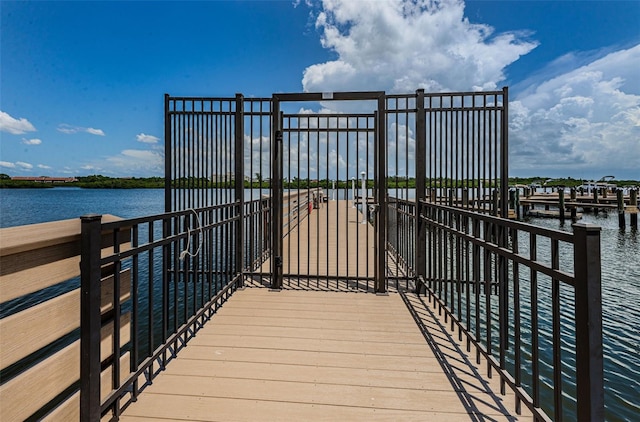 dock area with a water view