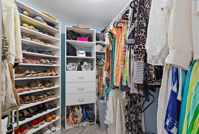 spacious closet with wood finished floors