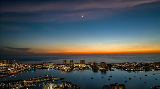 water view with a view of city