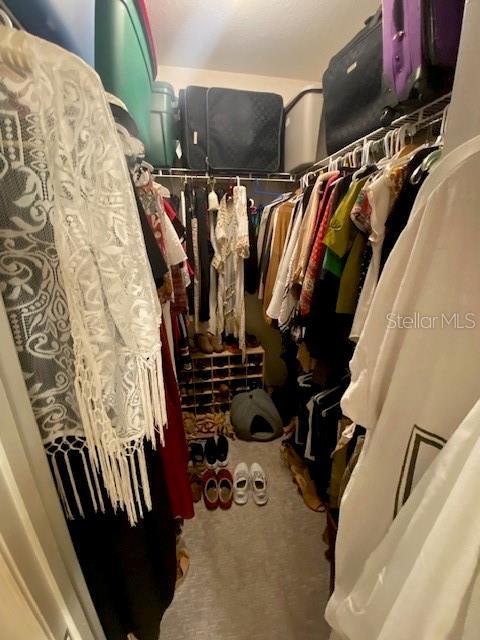 spacious closet with carpet floors