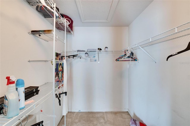 spacious closet with light carpet