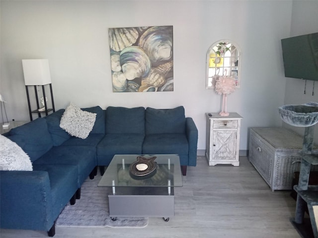 living room with wood-type flooring