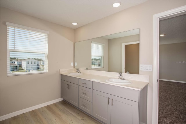 bathroom with hardwood / wood-style flooring and vanity