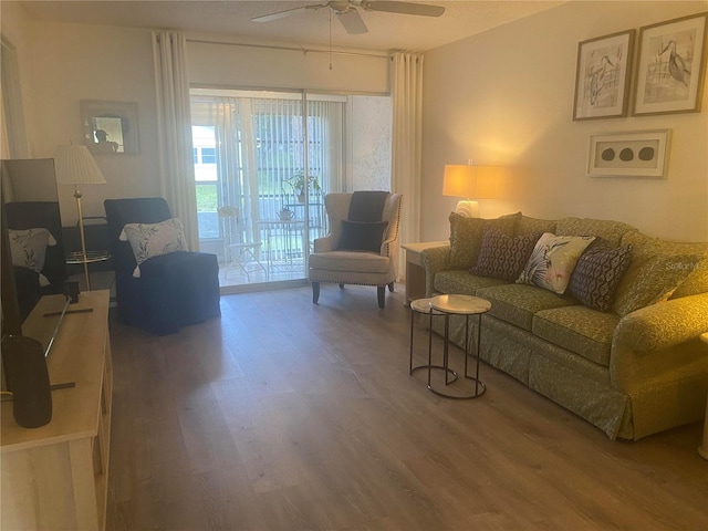 living room featuring ceiling fan and wood-type flooring