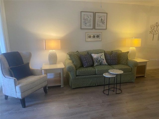 living room with wood-type flooring