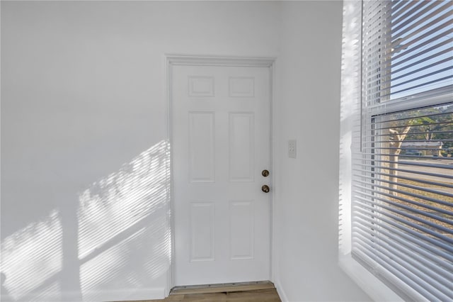 doorway with hardwood / wood-style floors