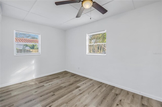 spare room with a drop ceiling, ceiling fan, light hardwood / wood-style flooring, and a wealth of natural light