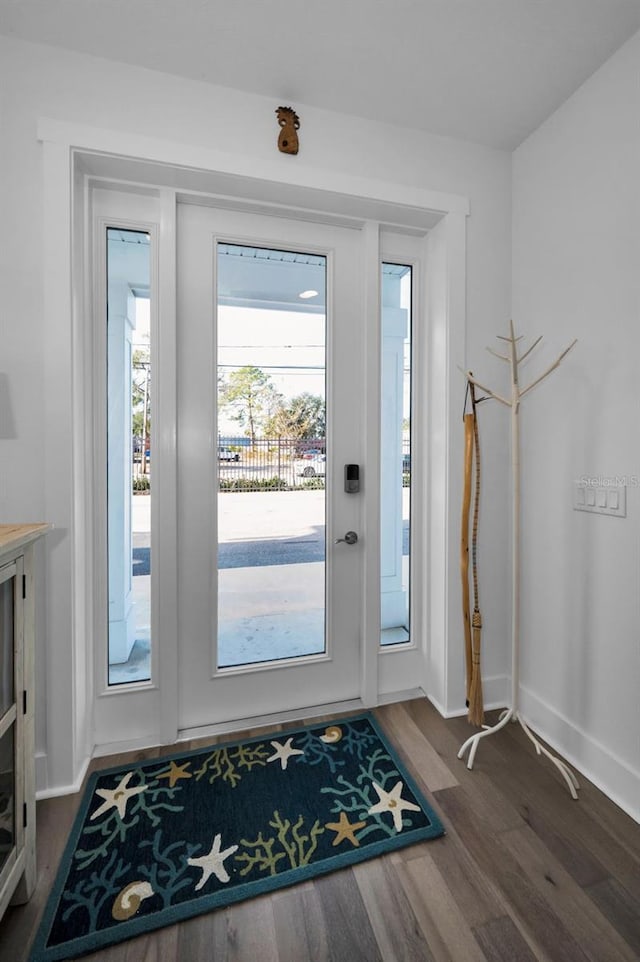 entryway featuring a healthy amount of sunlight and dark hardwood / wood-style floors