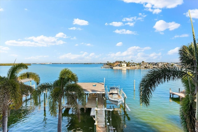 dock area with a water view