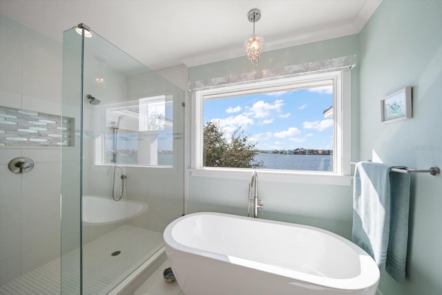 bathroom featuring plenty of natural light, a water view, and plus walk in shower