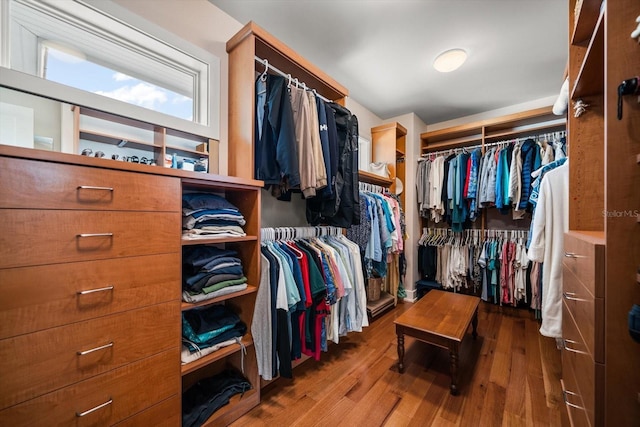 walk in closet featuring wood-type flooring