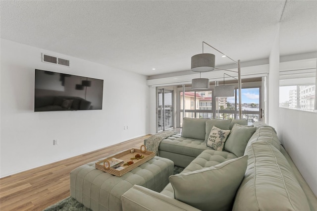 living room featuring a textured ceiling and wood-type flooring