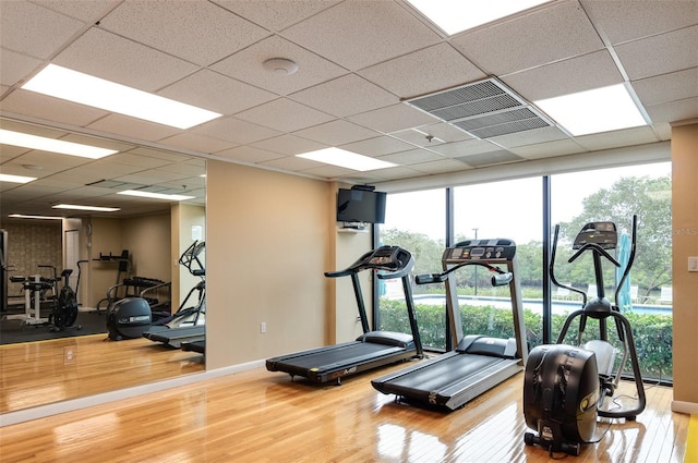 workout area with a drop ceiling, hardwood / wood-style flooring, and expansive windows