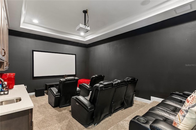 carpeted cinema room with sink, a tray ceiling, and crown molding